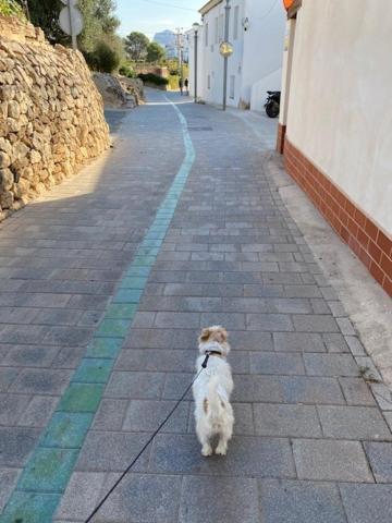 Beachgate - Acceso Privado A La Playa Apartment Altea